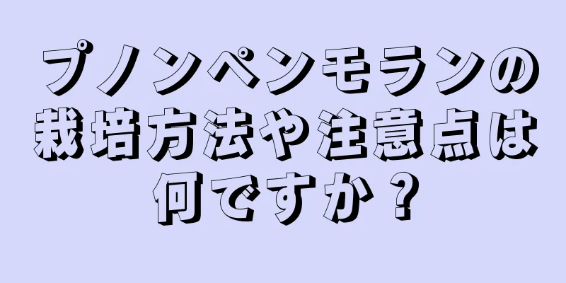 プノンペンモランの栽培方法や注意点は何ですか？