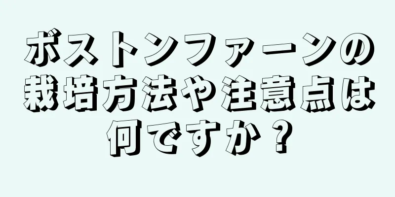 ボストンファーンの栽培方法や注意点は何ですか？