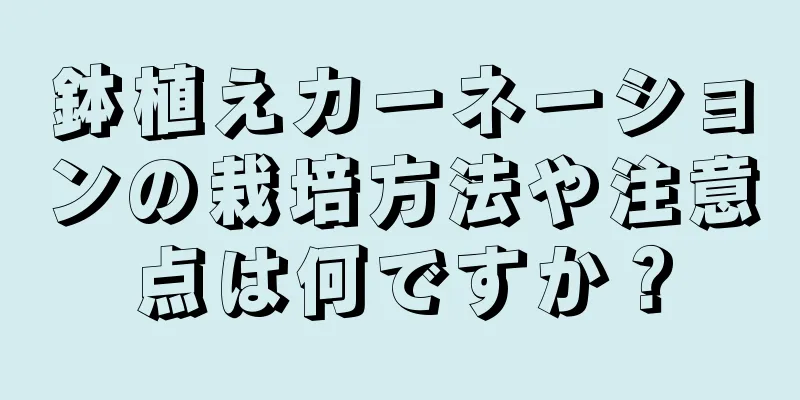 鉢植えカーネーションの栽培方法や注意点は何ですか？