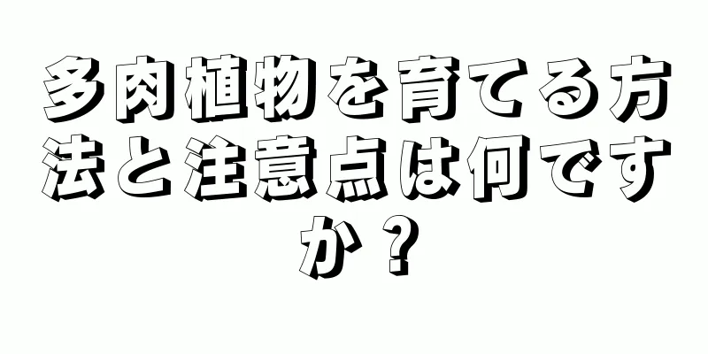 多肉植物を育てる方法と注意点は何ですか？