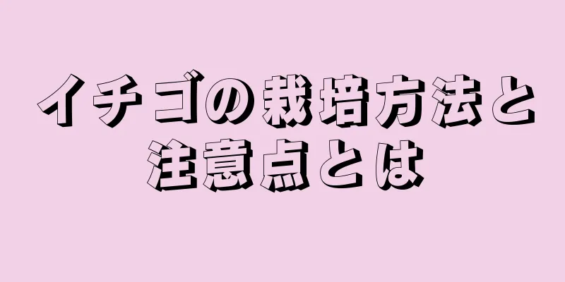 イチゴの栽培方法と注意点とは