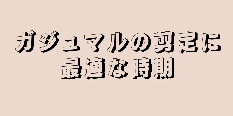 ガジュマルの剪定に最適な時期
