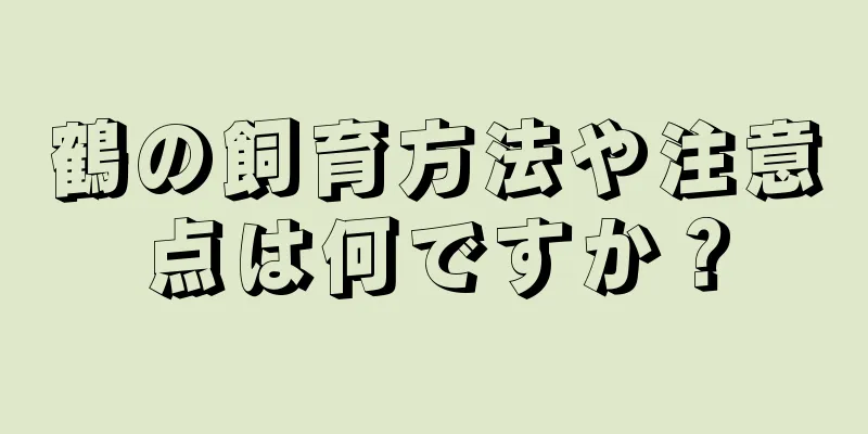 鶴の飼育方法や注意点は何ですか？