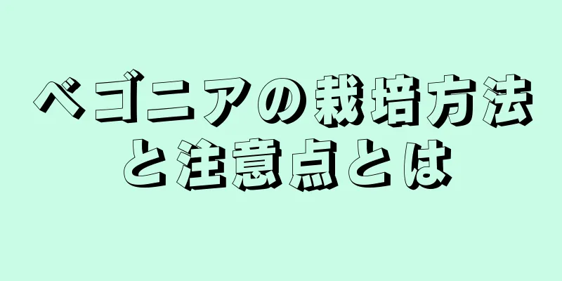 ベゴニアの栽培方法と注意点とは
