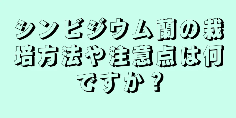シンビジウム蘭の栽培方法や注意点は何ですか？