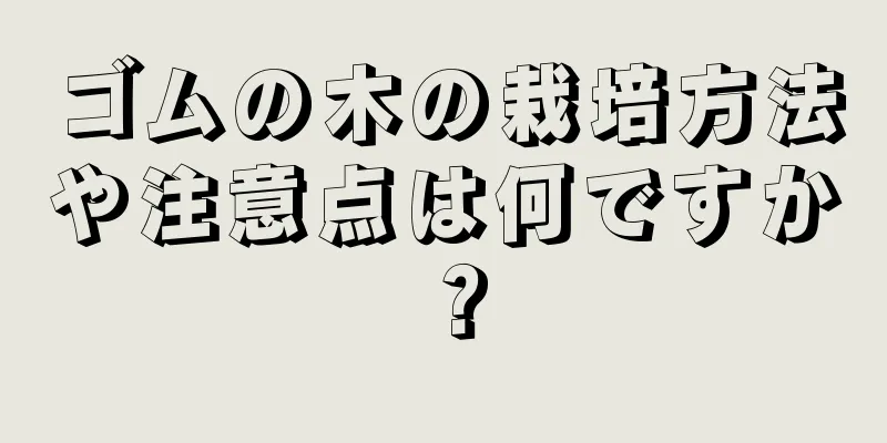 ゴムの木の栽培方法や注意点は何ですか？