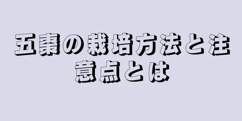 五棗の栽培方法と注意点とは