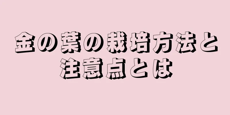 金の葉の栽培方法と注意点とは