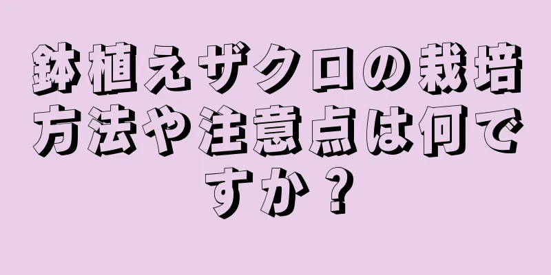 鉢植えザクロの栽培方法や注意点は何ですか？