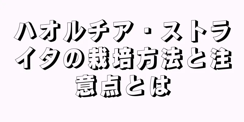 ハオルチア・ストライタの栽培方法と注意点とは