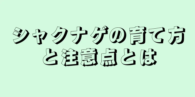 シャクナゲの育て方と注意点とは