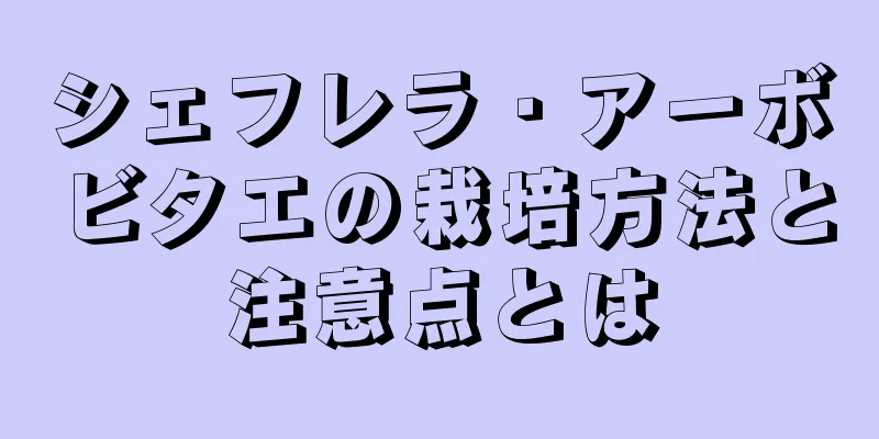 シェフレラ・アーボビタエの栽培方法と注意点とは