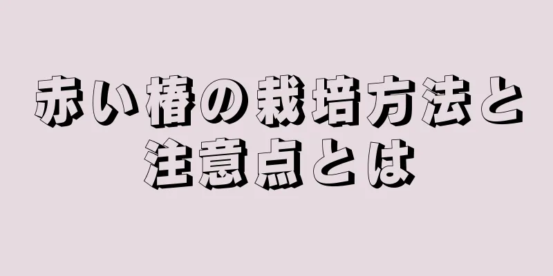赤い椿の栽培方法と注意点とは