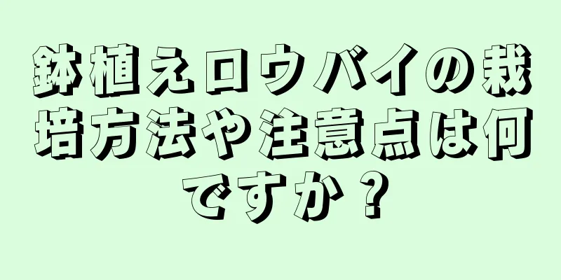 鉢植えロウバイの栽培方法や注意点は何ですか？