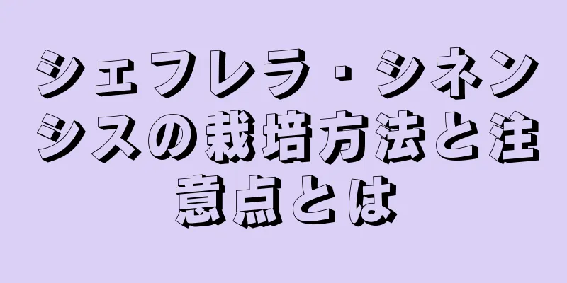 シェフレラ・シネンシスの栽培方法と注意点とは