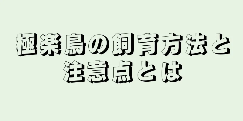 極楽鳥の飼育方法と注意点とは
