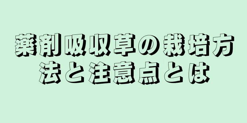 薬剤吸収草の栽培方法と注意点とは