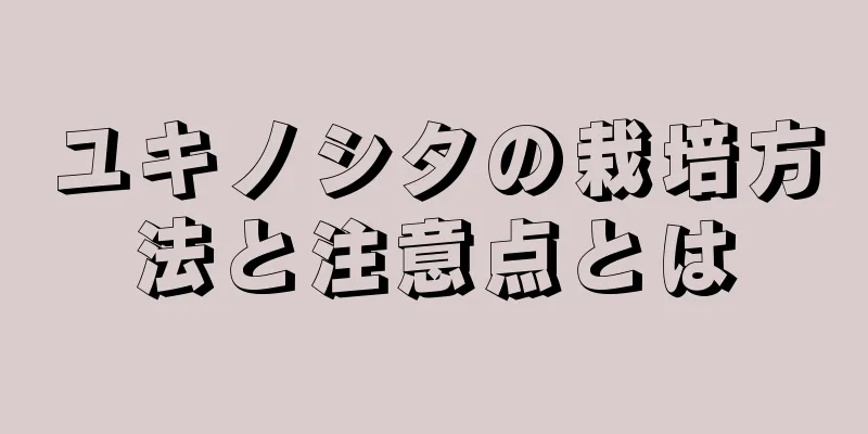ユキノシタの栽培方法と注意点とは