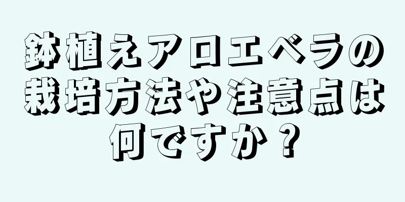 鉢植えアロエベラの栽培方法や注意点は何ですか？