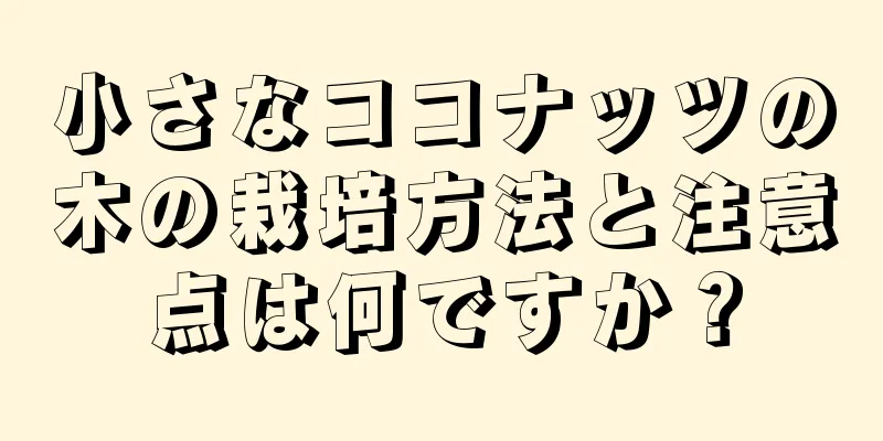 小さなココナッツの木の栽培方法と注意点は何ですか？