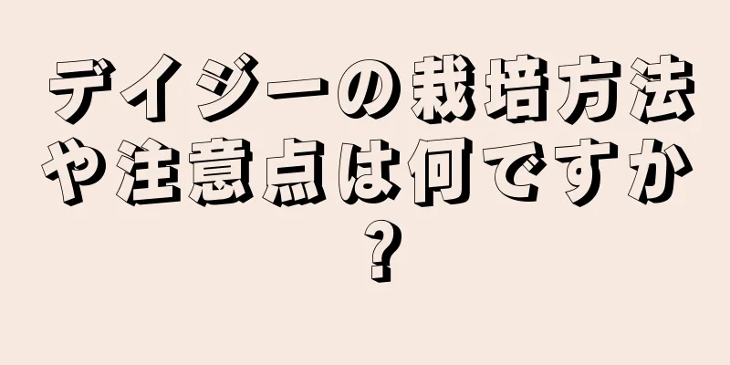 デイジーの栽培方法や注意点は何ですか？
