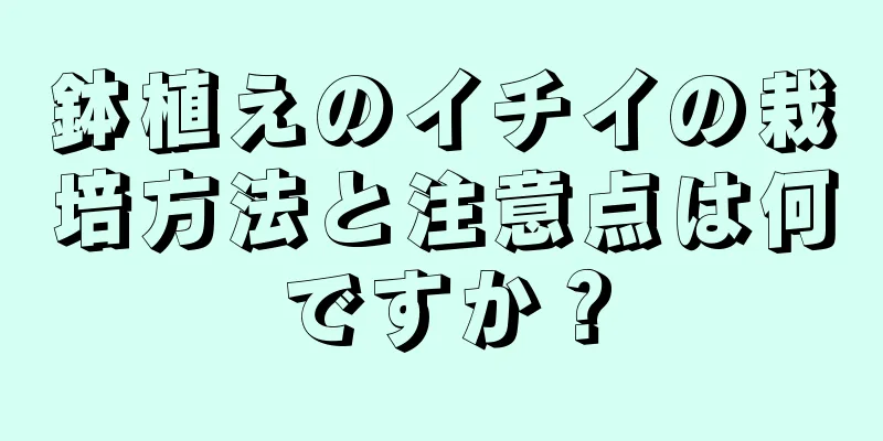 鉢植えのイチイの栽培方法と注意点は何ですか？