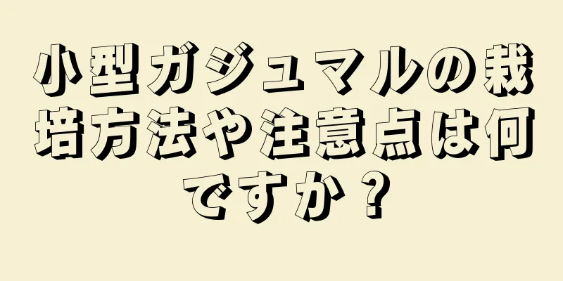 小型ガジュマルの栽培方法や注意点は何ですか？