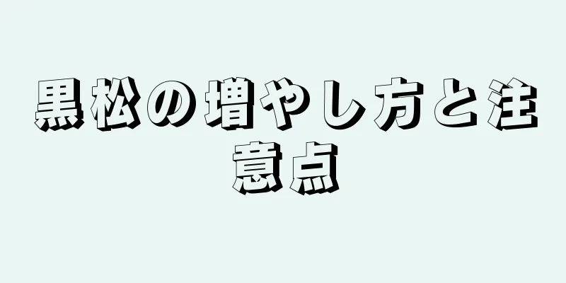 黒松の増やし方と注意点