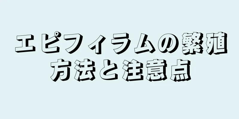 エピフィラムの繁殖方法と注意点