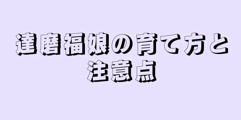 達磨福娘の育て方と注意点