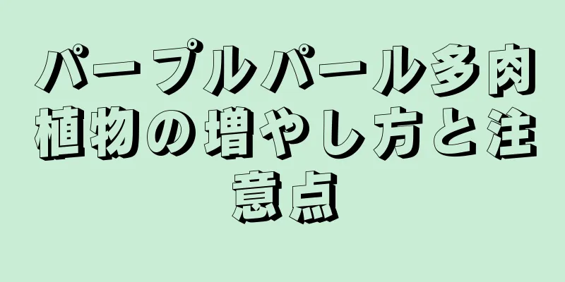 パープルパール多肉植物の増やし方と注意点