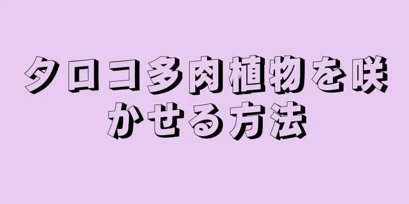 タロコ多肉植物を咲かせる方法