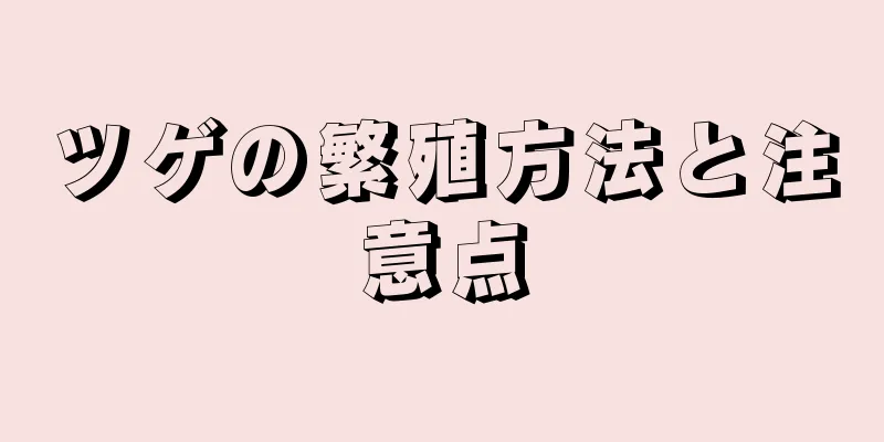 ツゲの繁殖方法と注意点