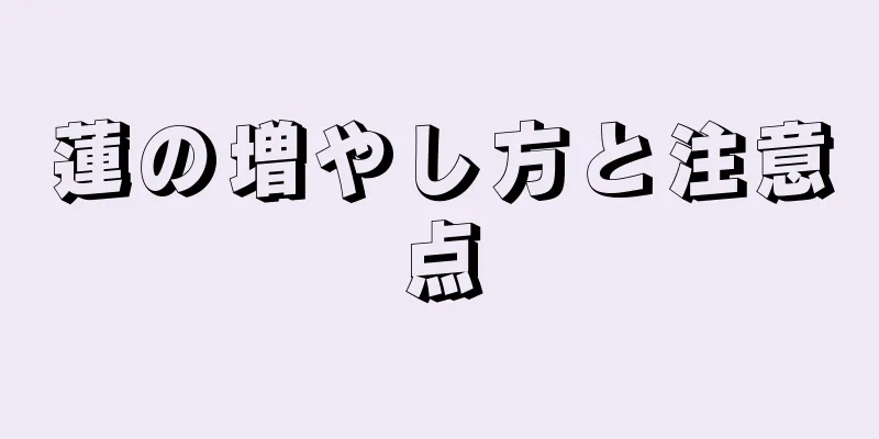 蓮の増やし方と注意点