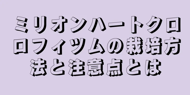 ミリオンハートクロロフィツムの栽培方法と注意点とは