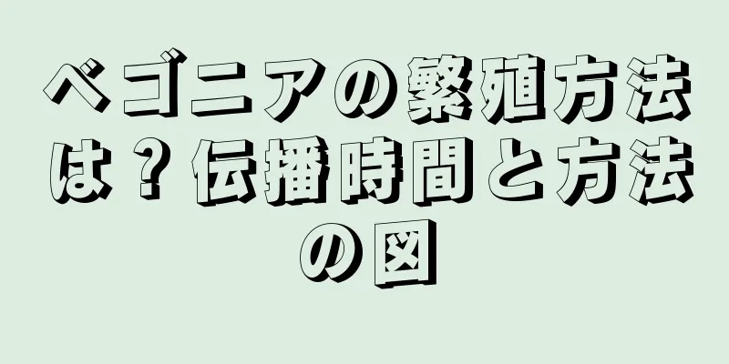ベゴニアの繁殖方法は？伝播時間と方法の図