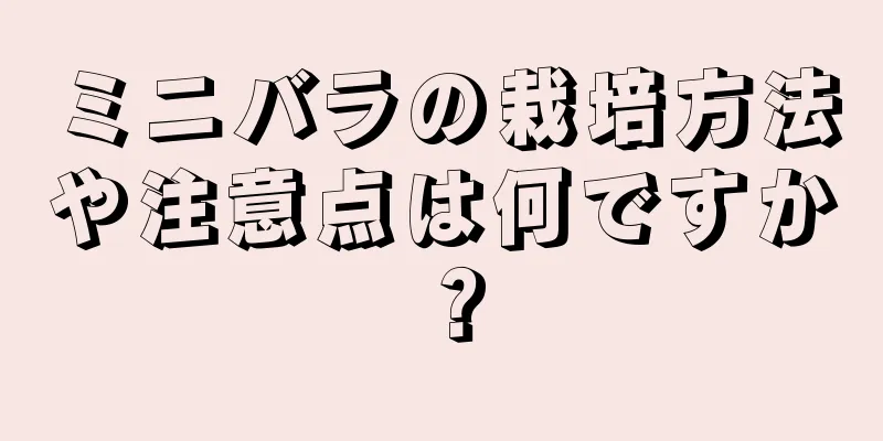 ミニバラの栽培方法や注意点は何ですか？