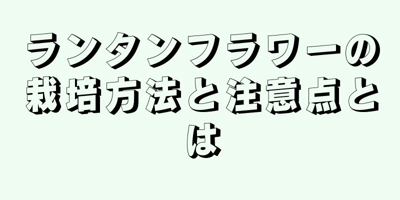 ランタンフラワーの栽培方法と注意点とは