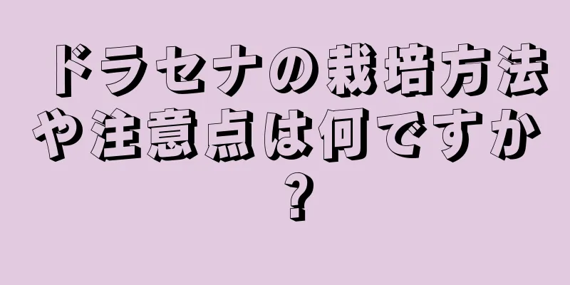 ドラセナの栽培方法や注意点は何ですか？