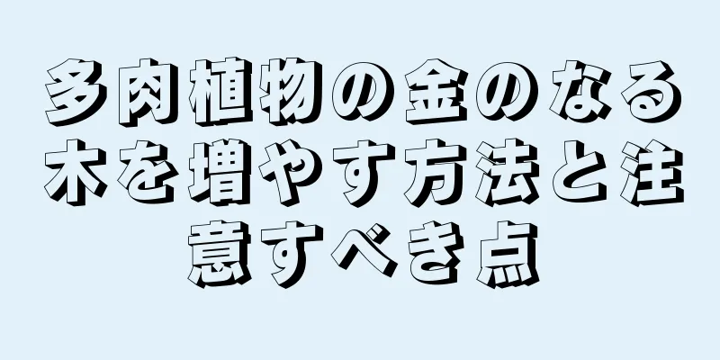 多肉植物の金のなる木を増やす方法と注意すべき点