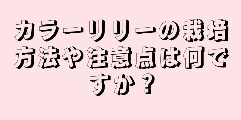 カラーリリーの栽培方法や注意点は何ですか？