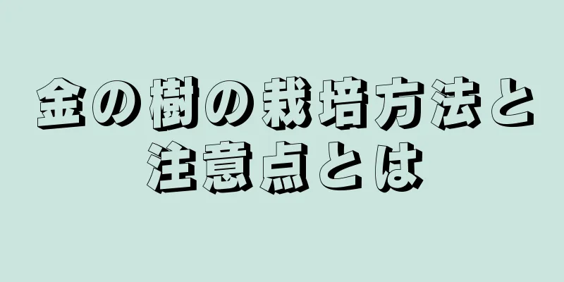 金の樹の栽培方法と注意点とは