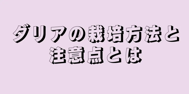 ダリアの栽培方法と注意点とは