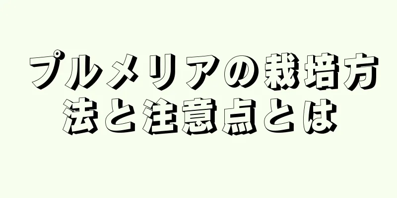 プルメリアの栽培方法と注意点とは