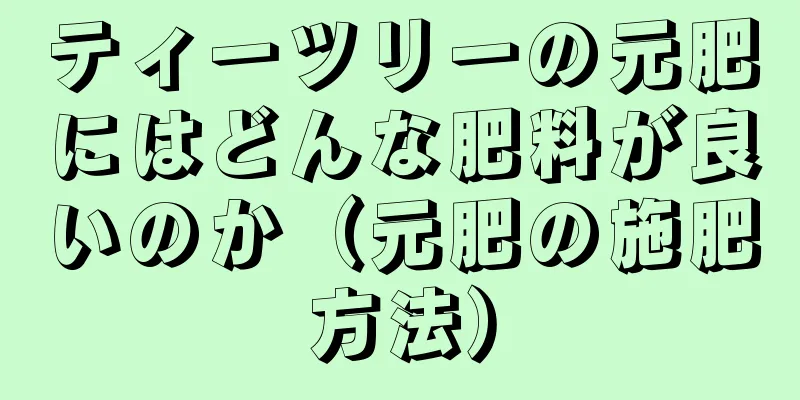 ティーツリーの元肥にはどんな肥料が良いのか（元肥の施肥方法）
