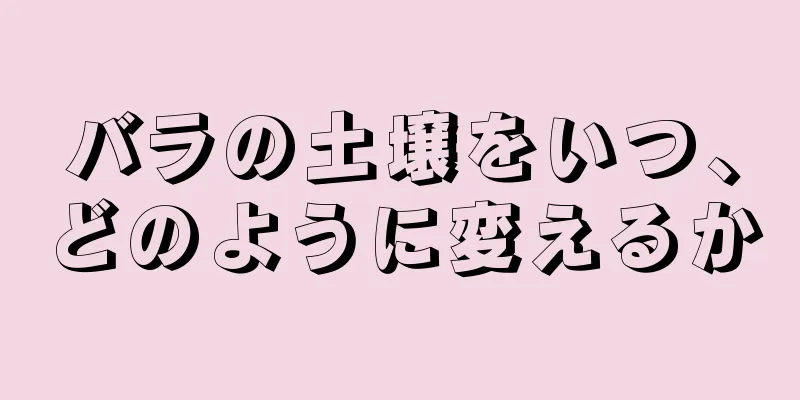 バラの土壌をいつ、どのように変えるか