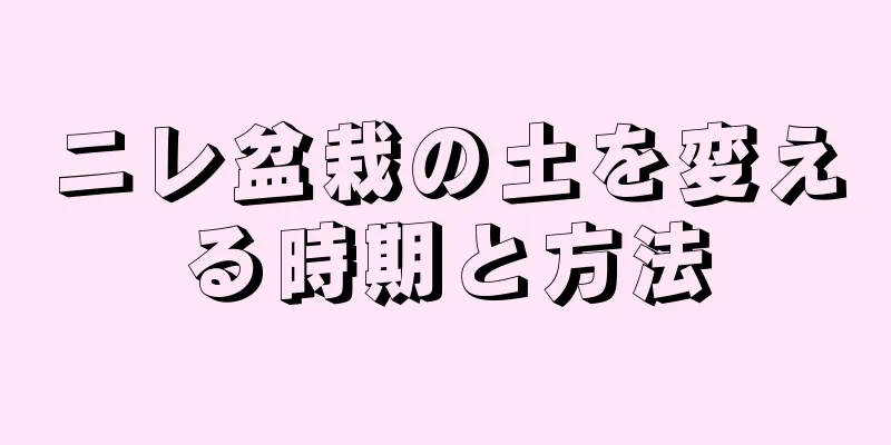 ニレ盆栽の土を変える時期と方法