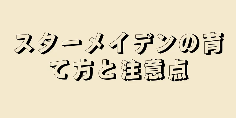スターメイデンの育て方と注意点