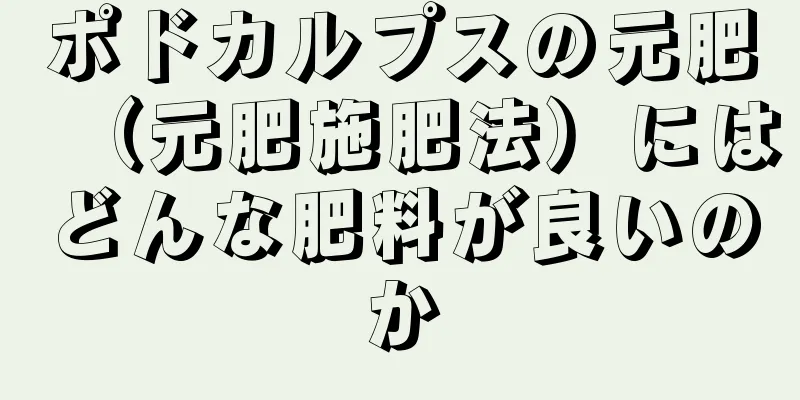 ポドカルプスの元肥（元肥施肥法）にはどんな肥料が良いのか