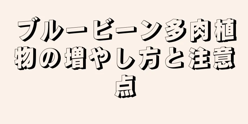 ブルービーン多肉植物の増やし方と注意点